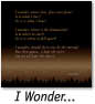 I Wonder...